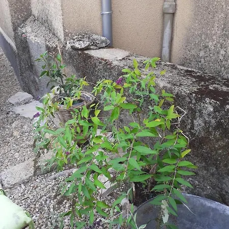 Bed & Breakfast La Grange 4*