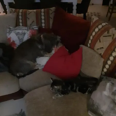 La Grange Promilhanes