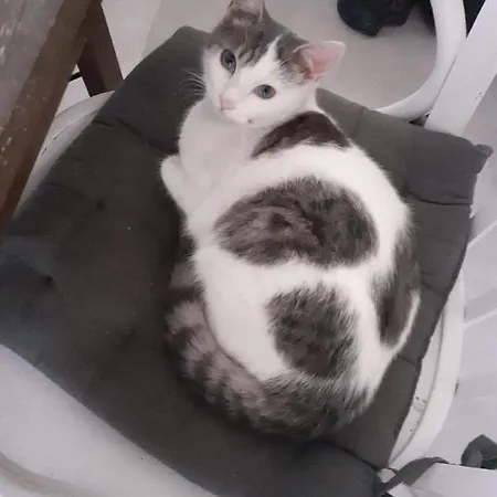 La Grange Bed & Breakfast 4*