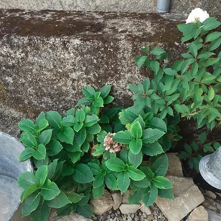 La Grange Couette-café 4*