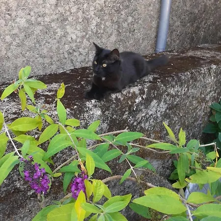 Couette-café La Grange