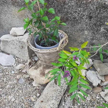 Bed & Breakfast La Grange 4*