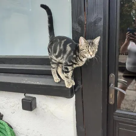 La Grange Couette-café