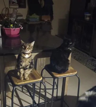 La Grange 4* Promilhanes