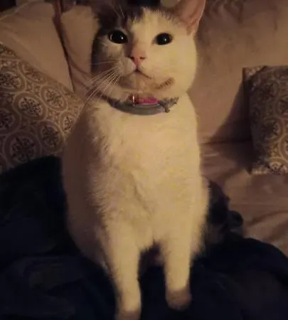 La Grange Bed & Breakfast