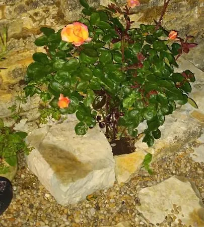 La Grange 4* Promilhanes