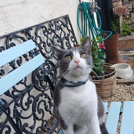 Bed & Breakfast La Grange 4*