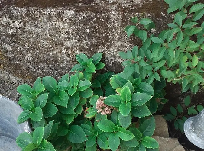 La Grange Bed & Breakfast 4*