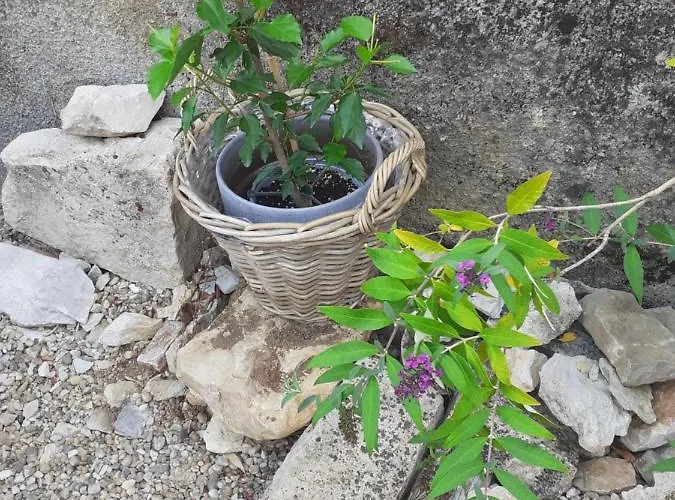 Bed & Breakfast La Grange 4*